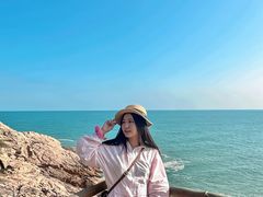 -广东惠东海龟国家级自然保护区