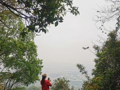 -火炉山森林公园