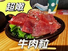 -胖记烤肉(湖大店)