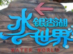 -南京银杏湖乐园