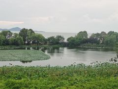 -上海市保健医疗中心