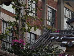 -大理床单厂艺术区