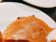 -星伦多自助料理·涮烤一体(虹悦城店)