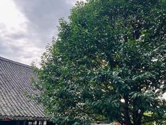 -峨眉山报国寺