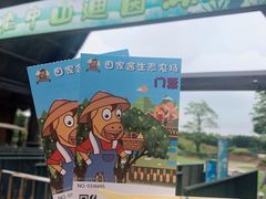 -迪茵湖田家舍生态农场