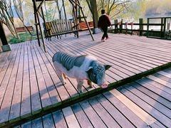 -长兴太湖图影湿地文化园