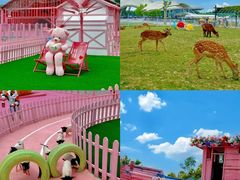 -渔岛海洋度假区