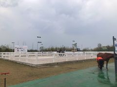 -上海崇明金茂凯悦酒店