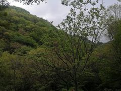 -洛阳花果山景区