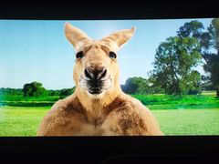 -奥斯卡升龙国际影城(RealD Cinema)