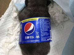 -南珠宫酒店-茶餐厅