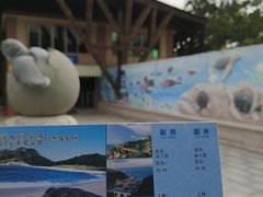-广东惠东海龟国家级自然保护区