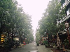 -泡桐树街