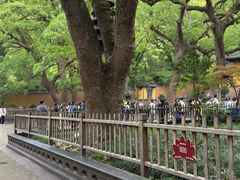 -普陀山风景名胜区-法雨禅寺