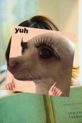 -瞳摄影写真旗舰店