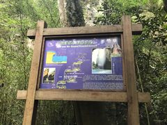 -雁荡山三折瀑景区