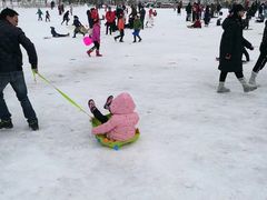 -镇江市南山风景名胜区竹林景区