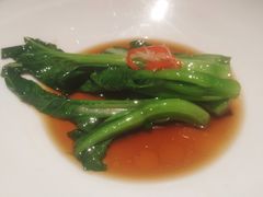 -觀芷隐轩