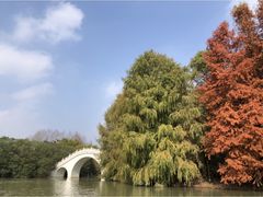 -上海海湾国家森林公园