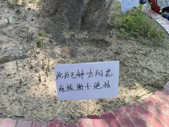 -张家巷美食(南浔店)