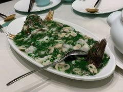 -蝶园·装修中(BFC外滩金融中心店)