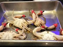 -鲜鲜·鲅鱼圈海鲜(于洪店)