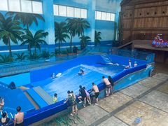 -青岛东方影都融创水世界