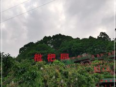 -枇杷园食为鲜火锅(南山店)