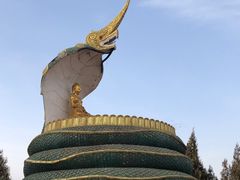 -洛阳白马寺
