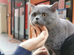 -松松咖啡