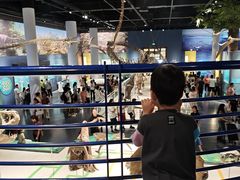 -国家自然博物馆