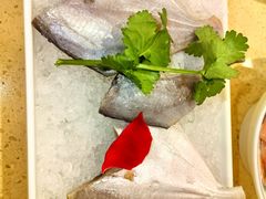 -南方花园鸭肠王(科园四路店)