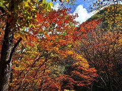 -本溪老边沟风景区