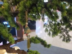 -三江源活鱼现烤(维多利摩尔城店)