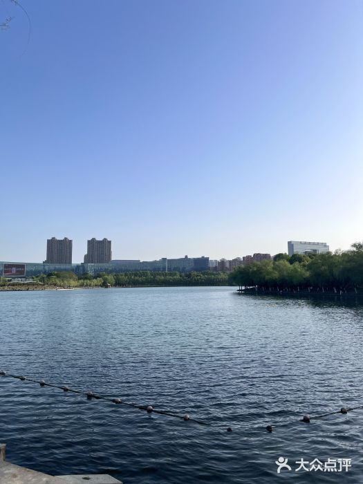 天鹅湖体育公园图片