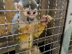 -成都浩海立方海洋公园