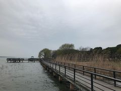 -莲花岛景区
