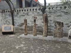 -大槐树寻根祭祖园