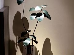 -木兰逸•泰式按摩•头疗•SPA(车公庙店)