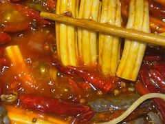 -阳阳老火锅(小南门店)