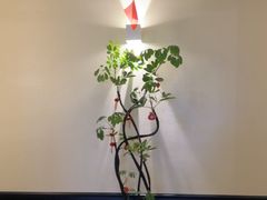 -涟LIAN·泰式按摩·MASSAGE·SPA(深业上城店)