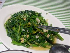-陈鹏鹏潮汕菜(世界之窗店)