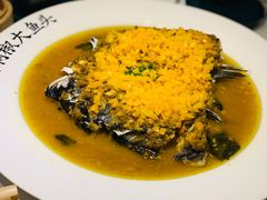 -千稻剁椒大鱼头(CityOn熙地港店)