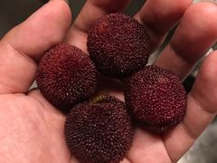 -吾家果精品水果(海第店)