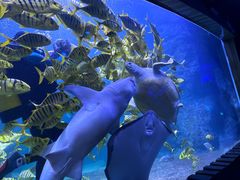 -左海海底世界