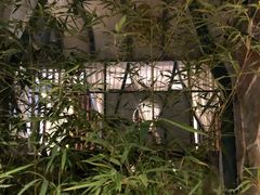 -山壹竹庭院餐厅