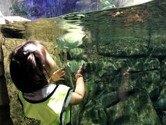 -成都浩海立方海洋公园