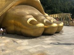 -鸿运楼·舌尖上的徽菜