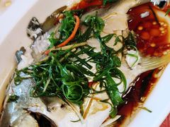 -日日香卤鹅饭店·澄海狮头鹅(澄海店)