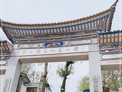 -苍山感通索道